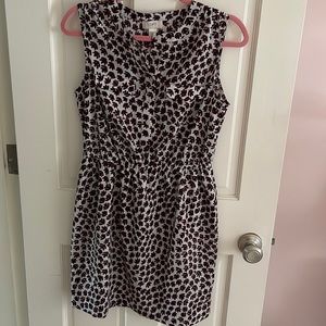 Loft half button up dress